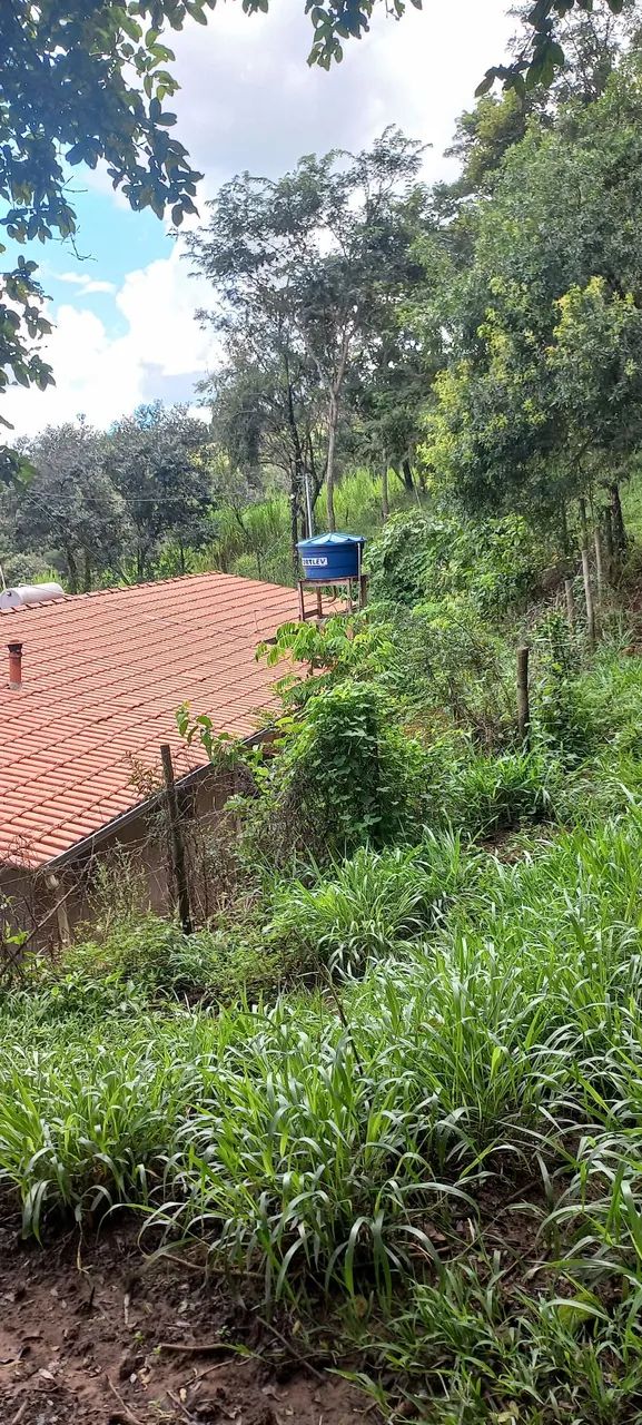 Vendo. Fazendinha em piracema  - Foto 2