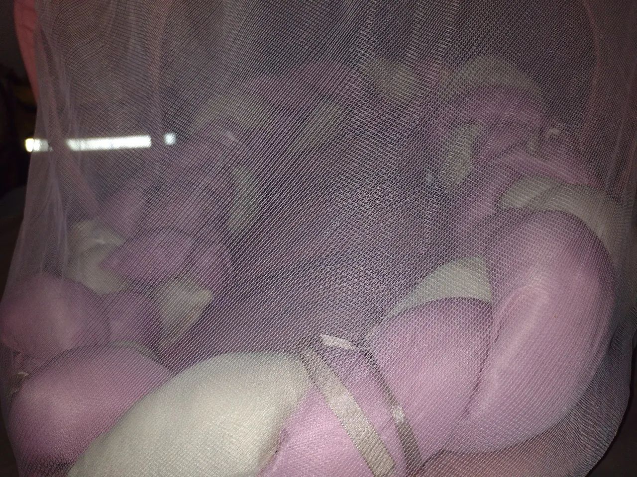 Ninho de bebê  - Foto 4