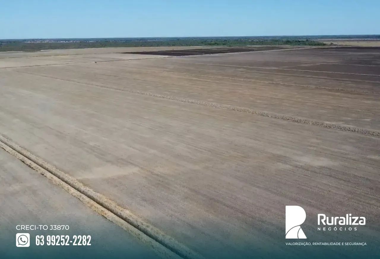 7.260 HA | 1.000 HA PARA ABERTURA | VÁRZEA E TERRA PRETA - Foto 5