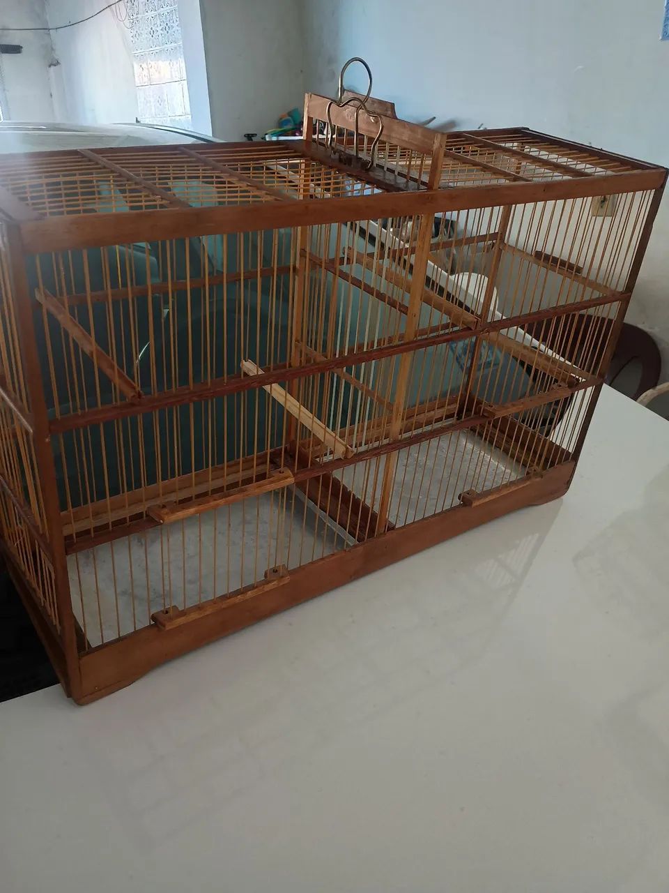 Animais e acessórios  - Foto 4