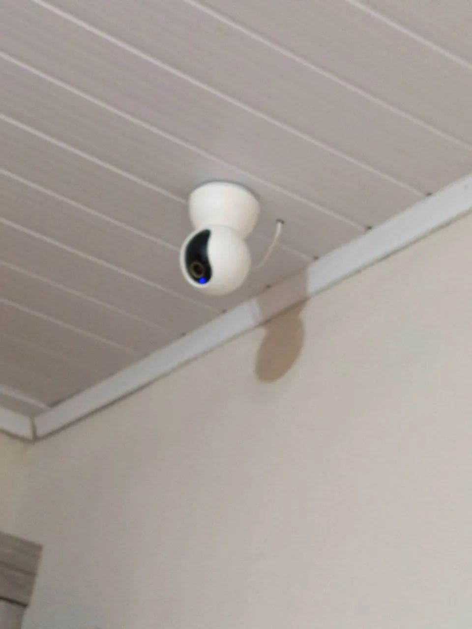 Serviço de marido de aluguel faz tudo  - Foto 2