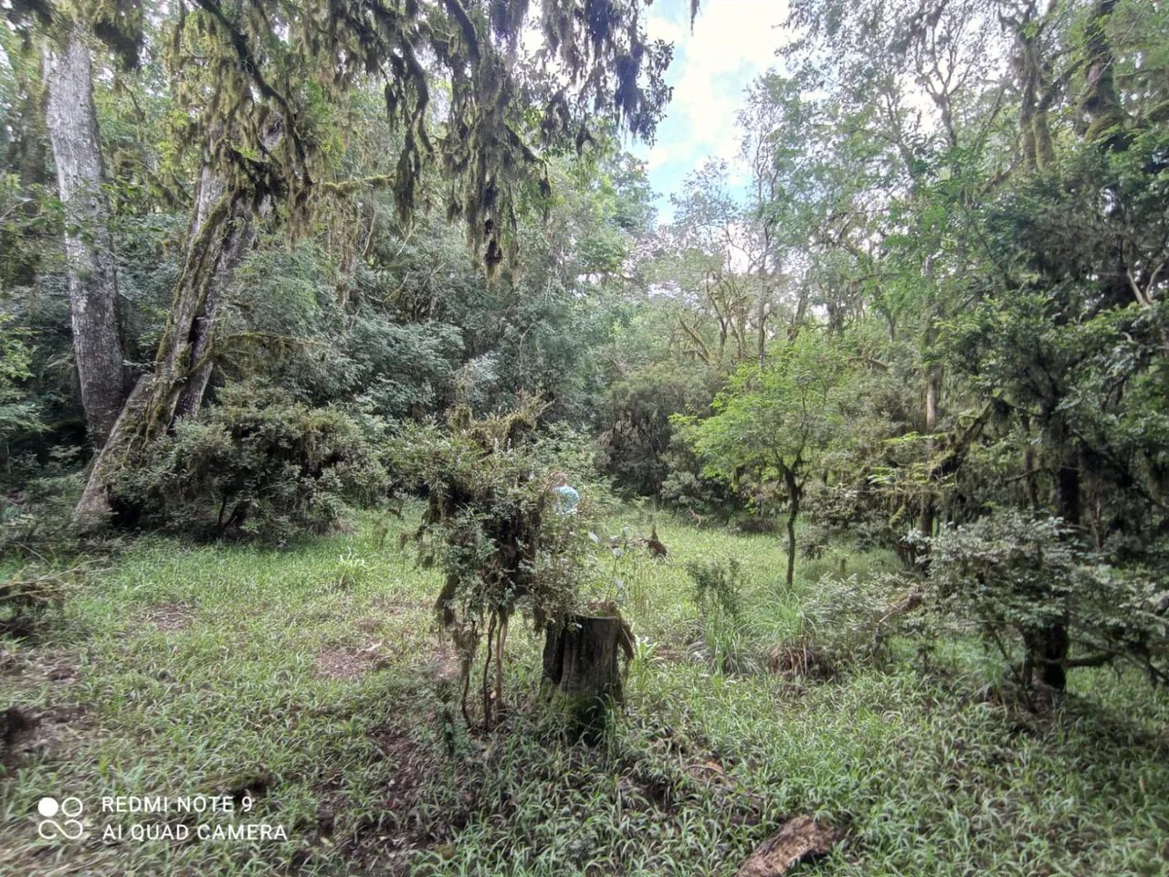 Imbituba - Venda - Foto 4
