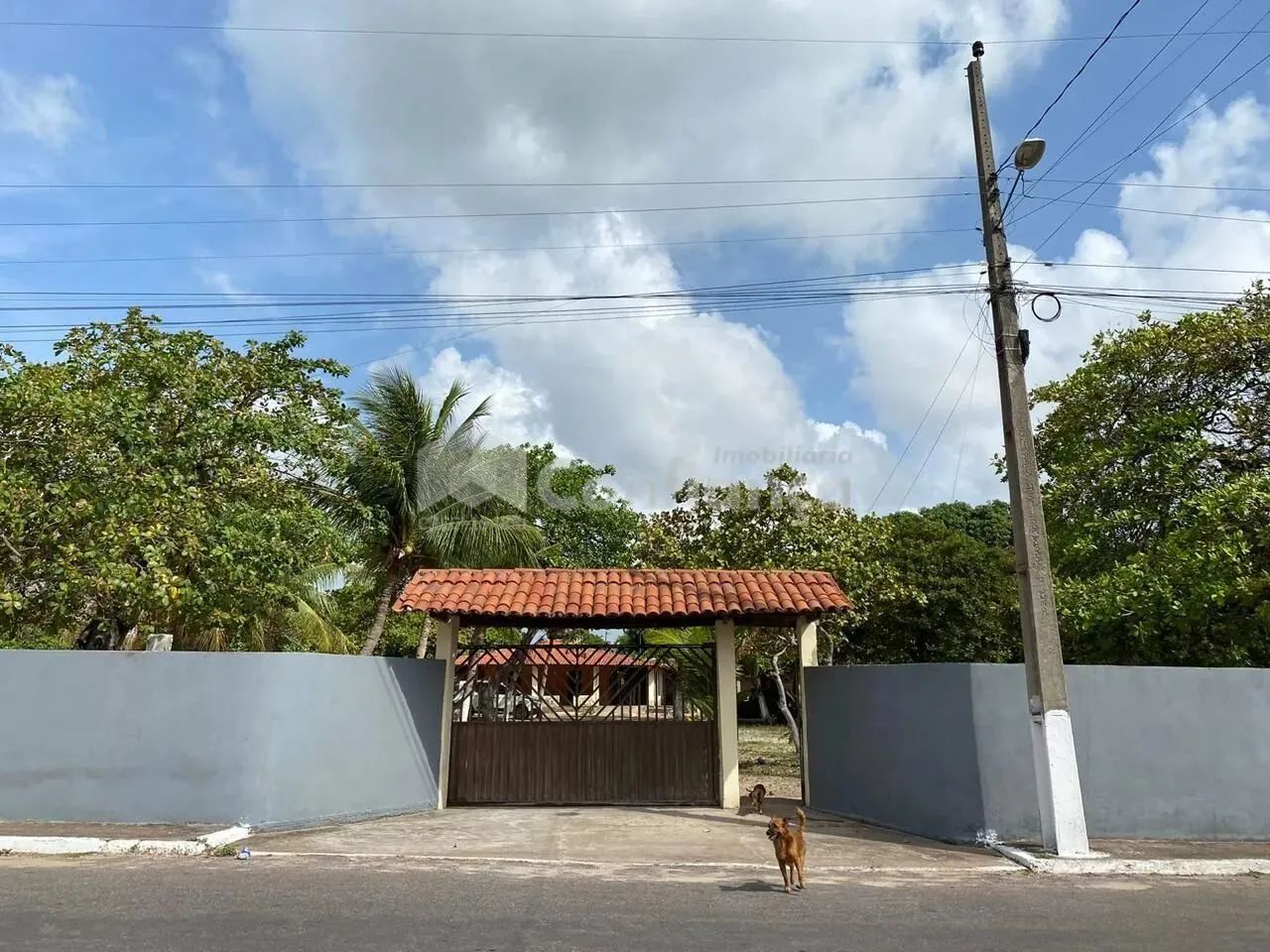 Sítio a Venda em São Gonçalo do Amarante/CE