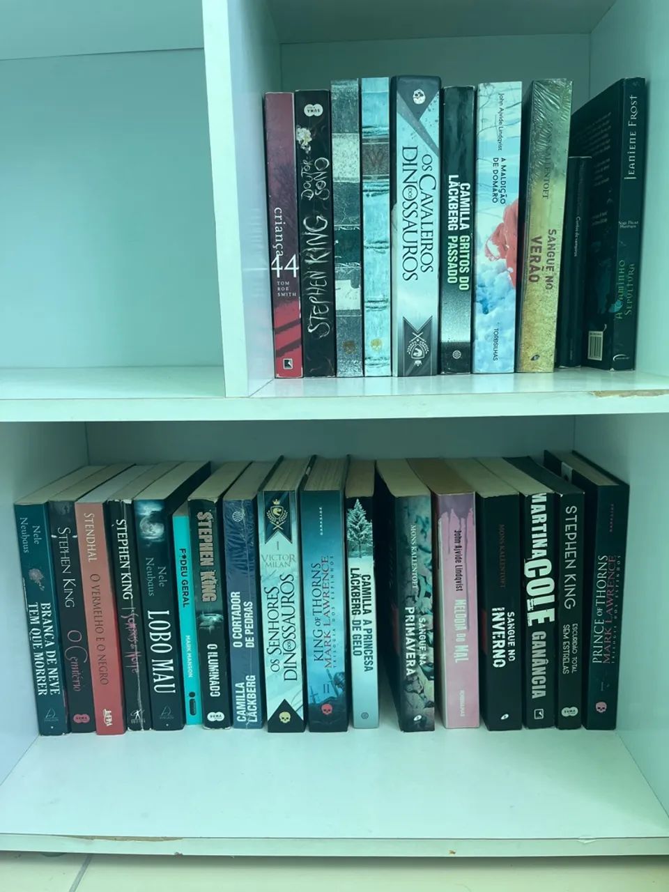 livros 