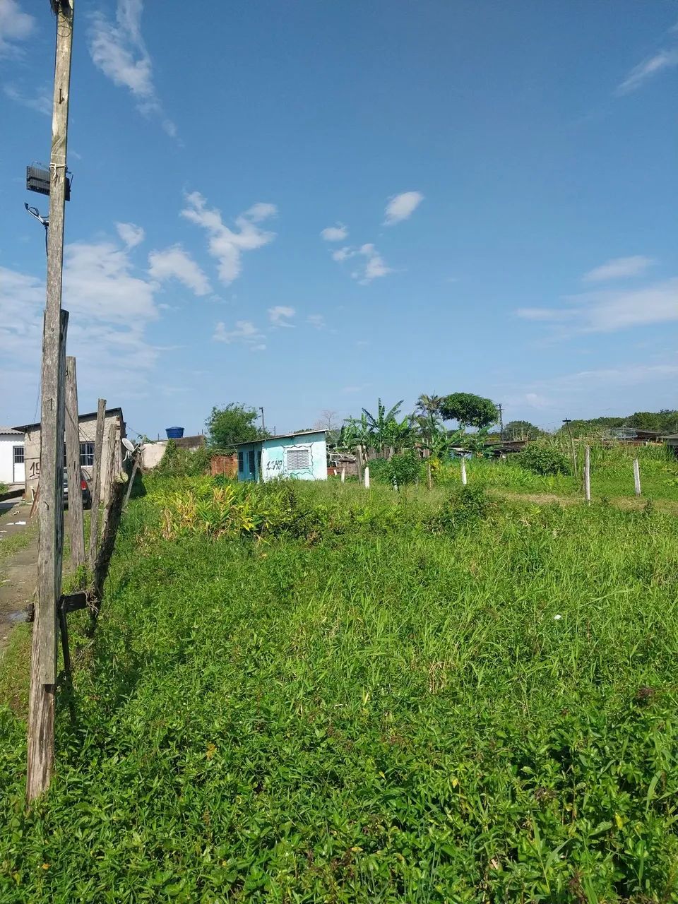 Foto - Praia Grande - Samambaia
