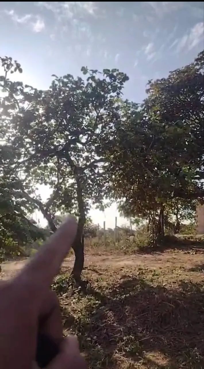 Lote a venda  - Foto 5