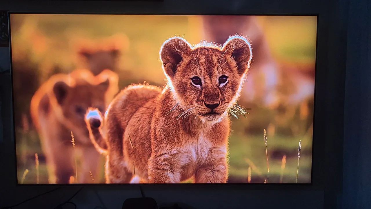 TV SAMSUNG QLED 55 