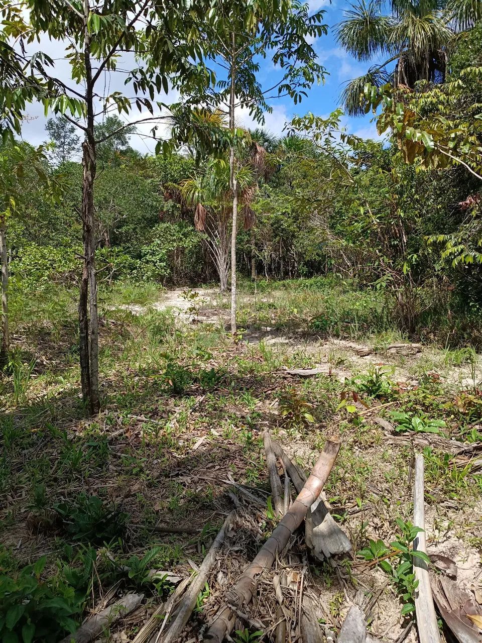 Terreno em tepequem  - Foto 13