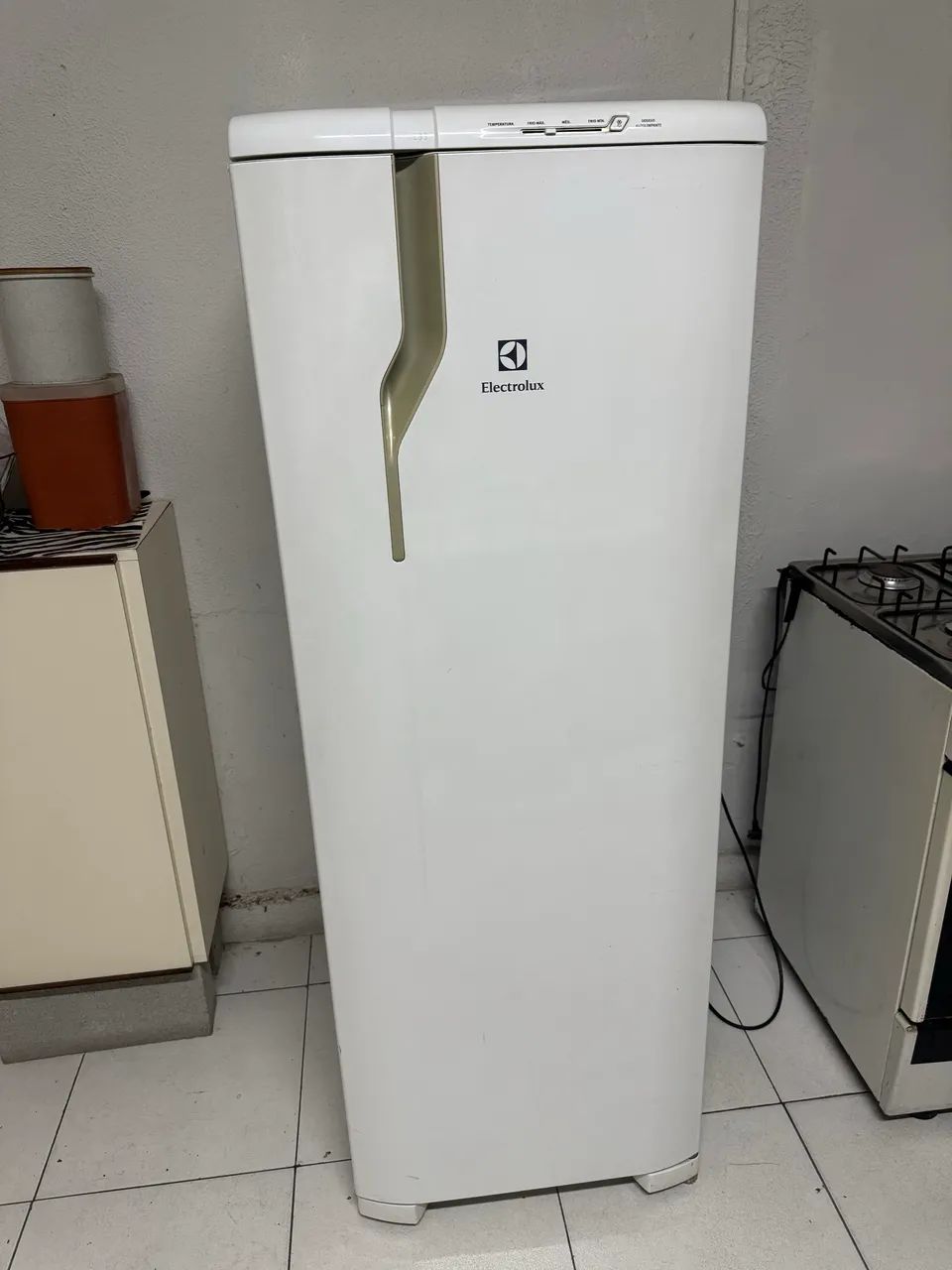 Geladeira Eletrolux Cycle 