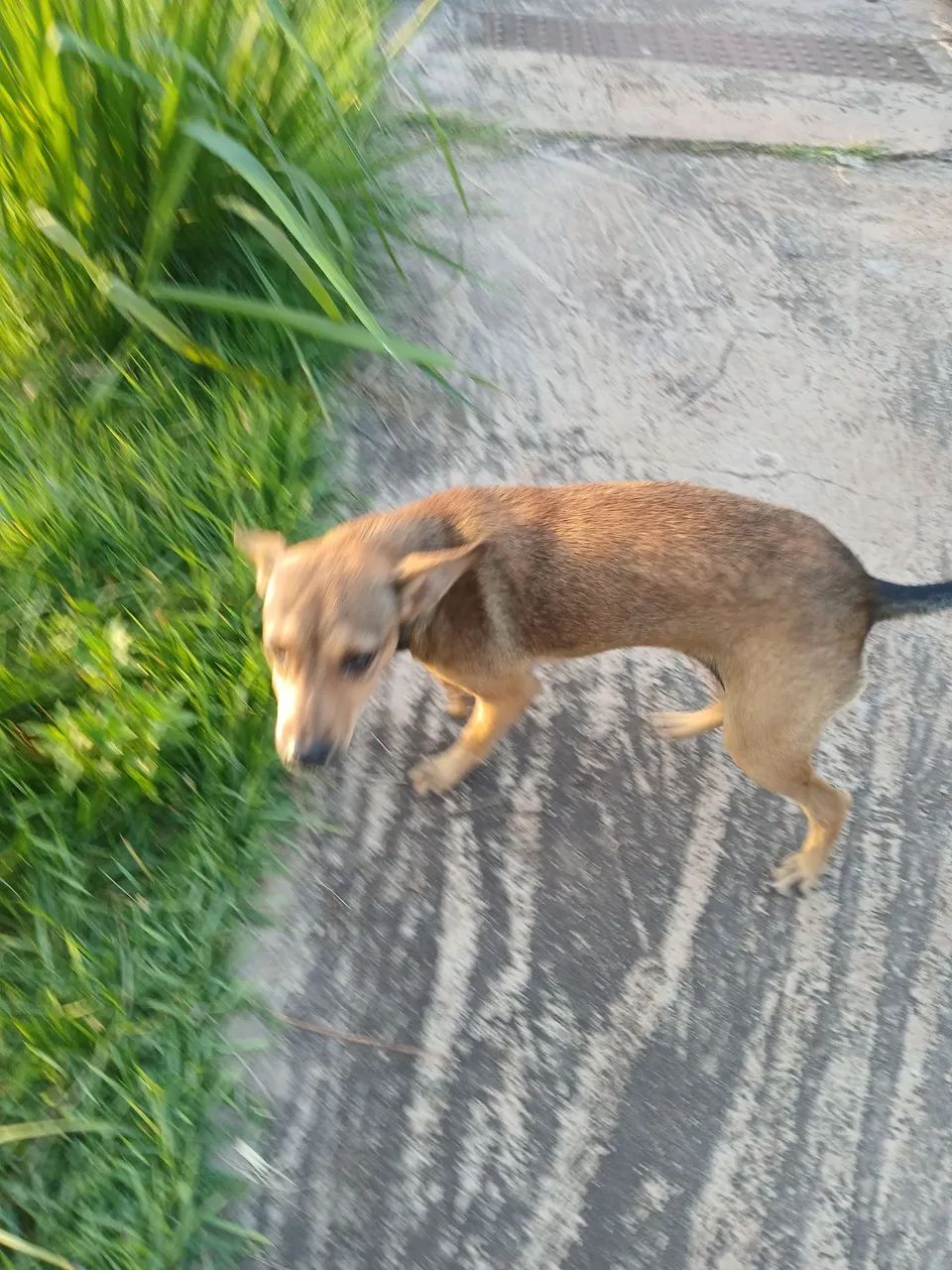 Para Doar  - Foto 2