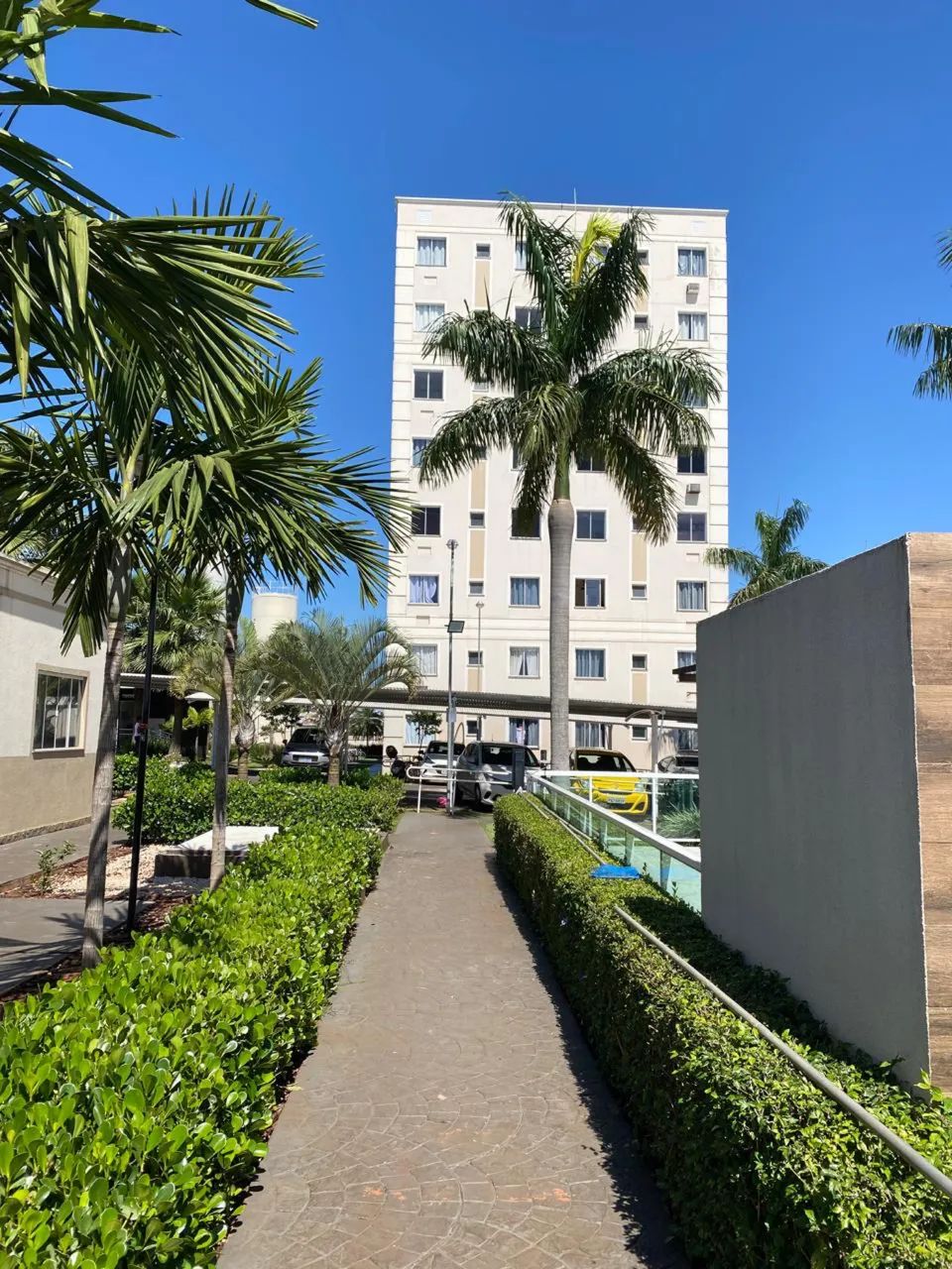 Foto - Londrina - Ideal