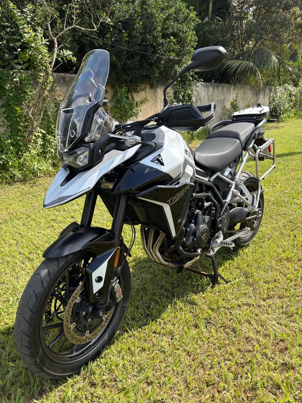 Tiger 900 GT - 2025 - Foto 2