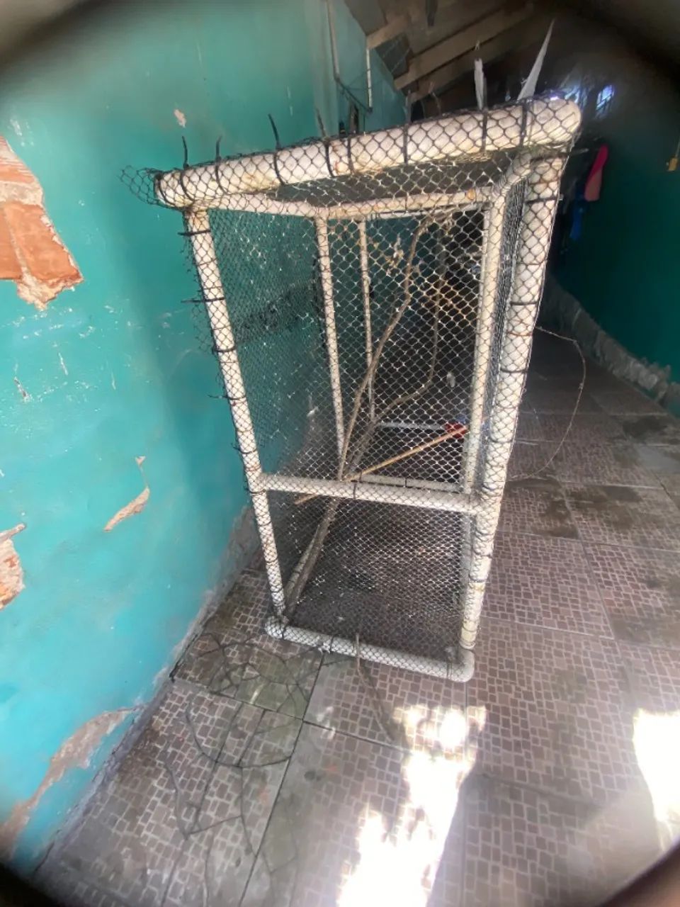 "Para- Despega- Gaiola grande de Cano Pvc tamanho 143 por 120 de