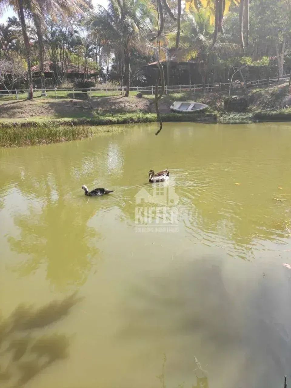 Sítio com 3 quartos à venda, 5450 m² por R$ 1.100.000 - Foto 15