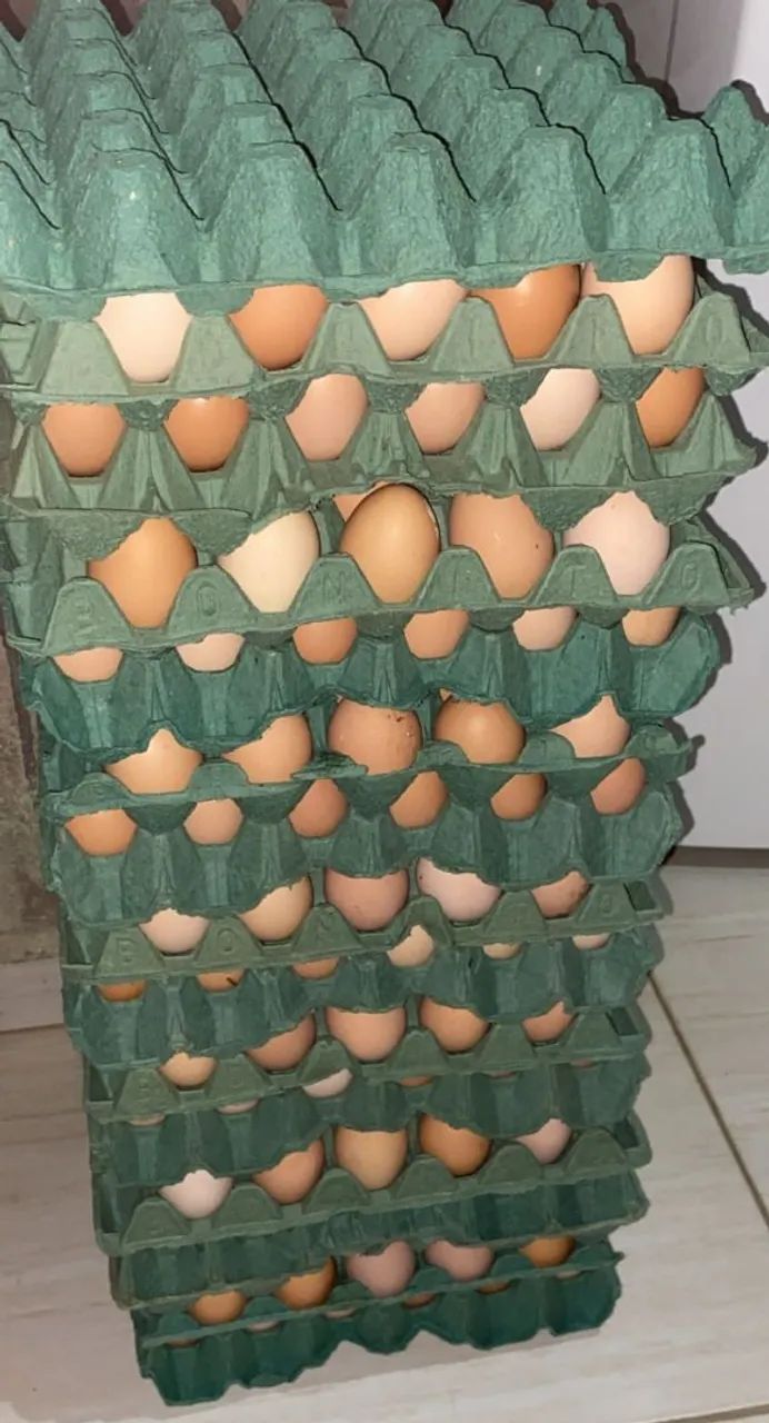 Ovos de galinha caipira C/30 - Foto 2