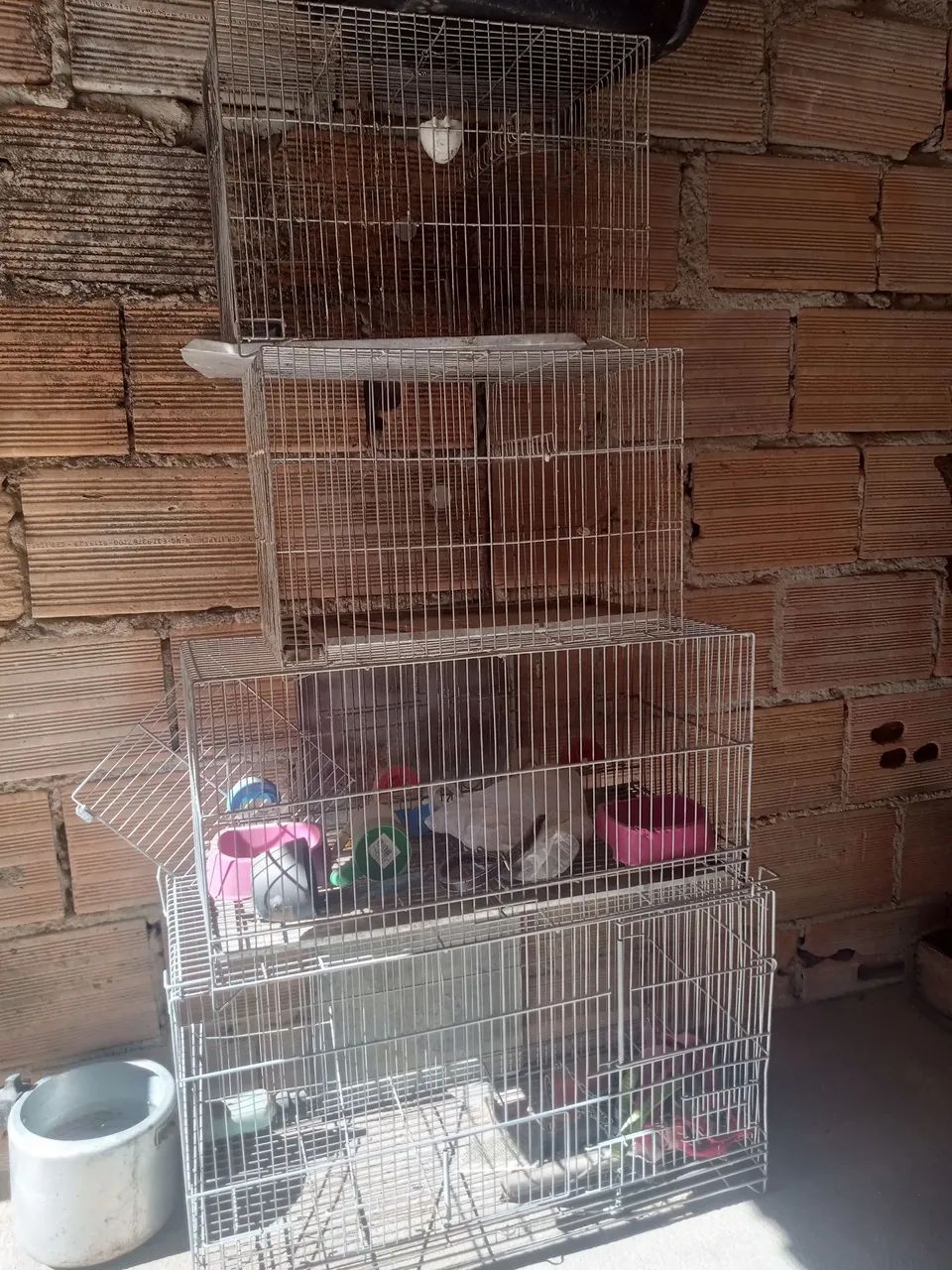Gaiolas 