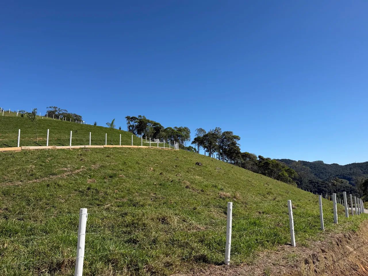 TERRENO SÍTIO EM ÁGUAS MORNAS! - Foto 3