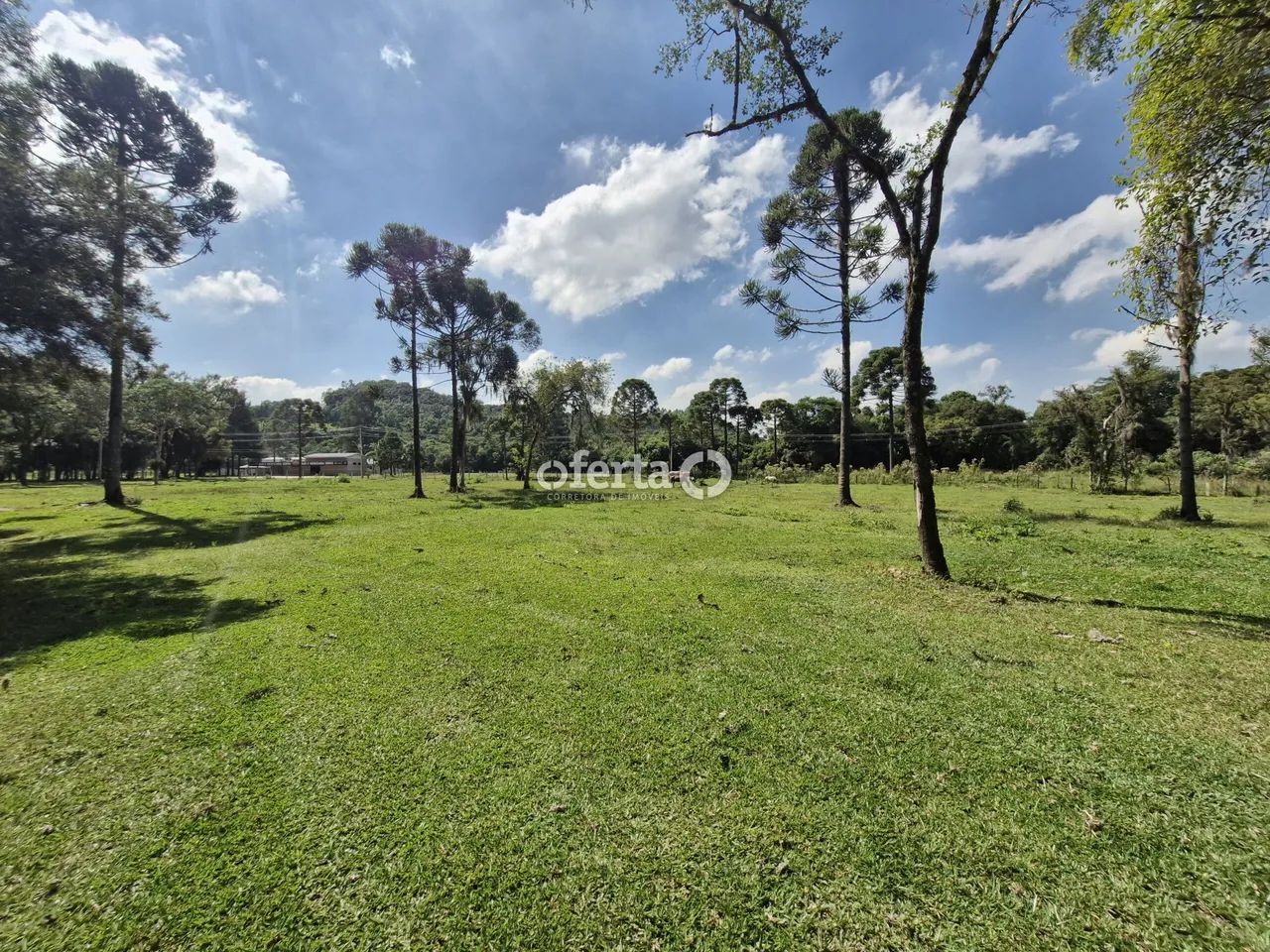 Chácara em Contenda - Foto 2