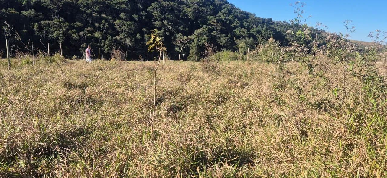 Chácara no Campo Alegre
