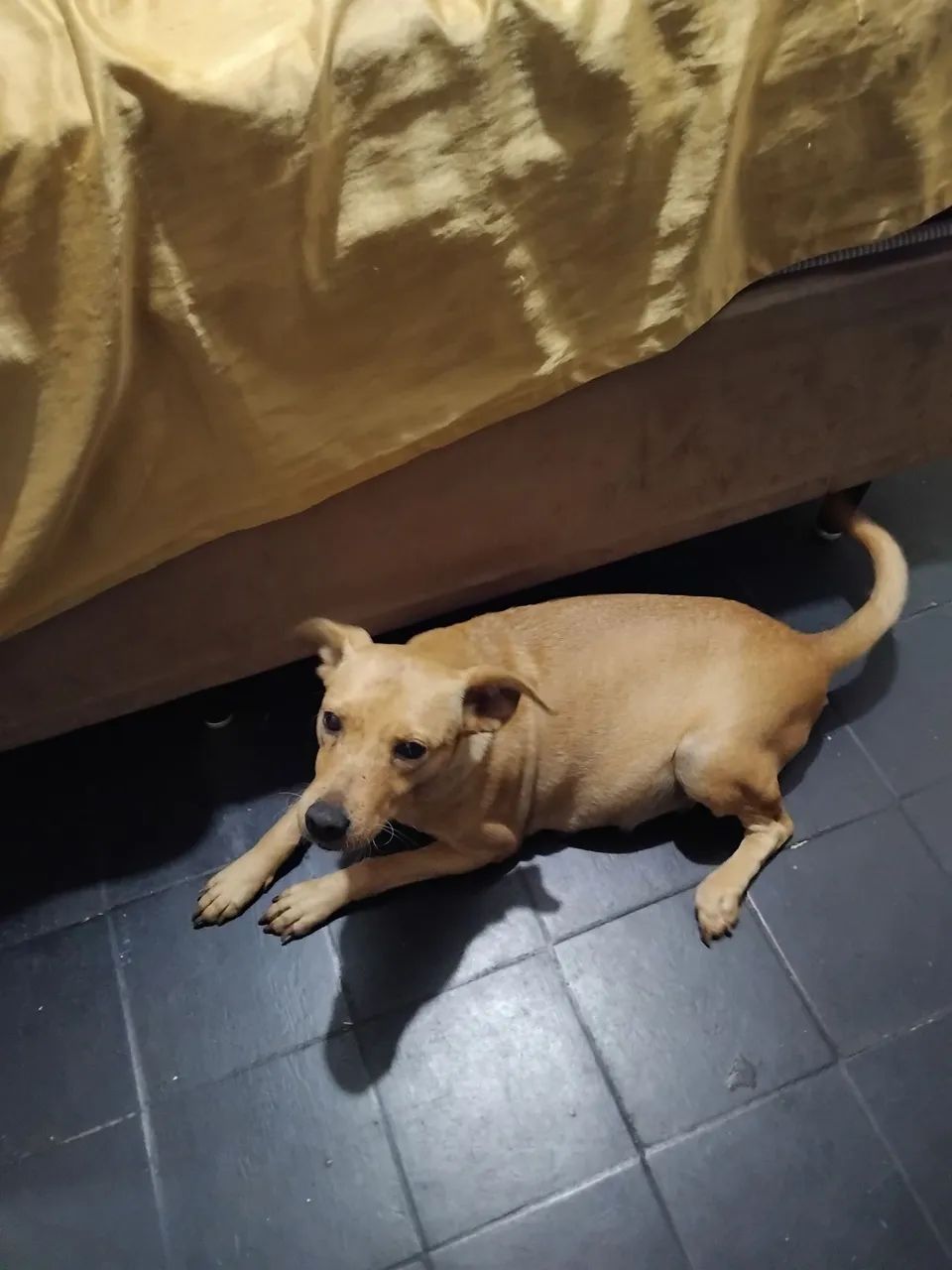 DOAÇÃO  - Foto 2