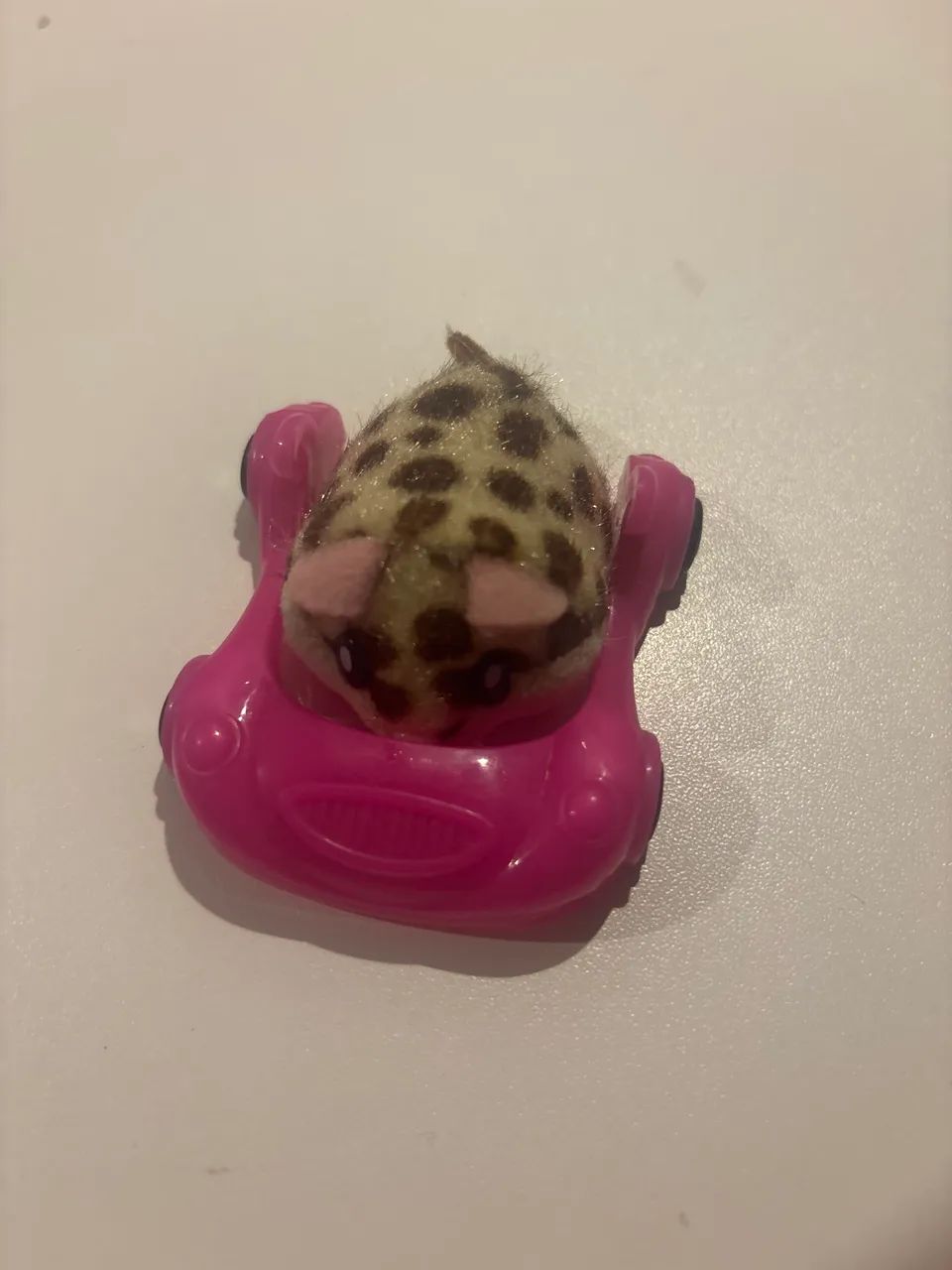 Hamster In a House com o veículo 
