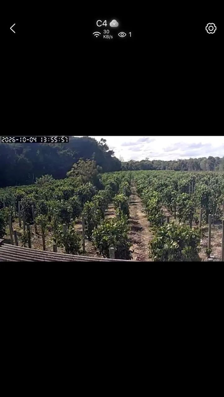 Chácara a venda - Foto 4