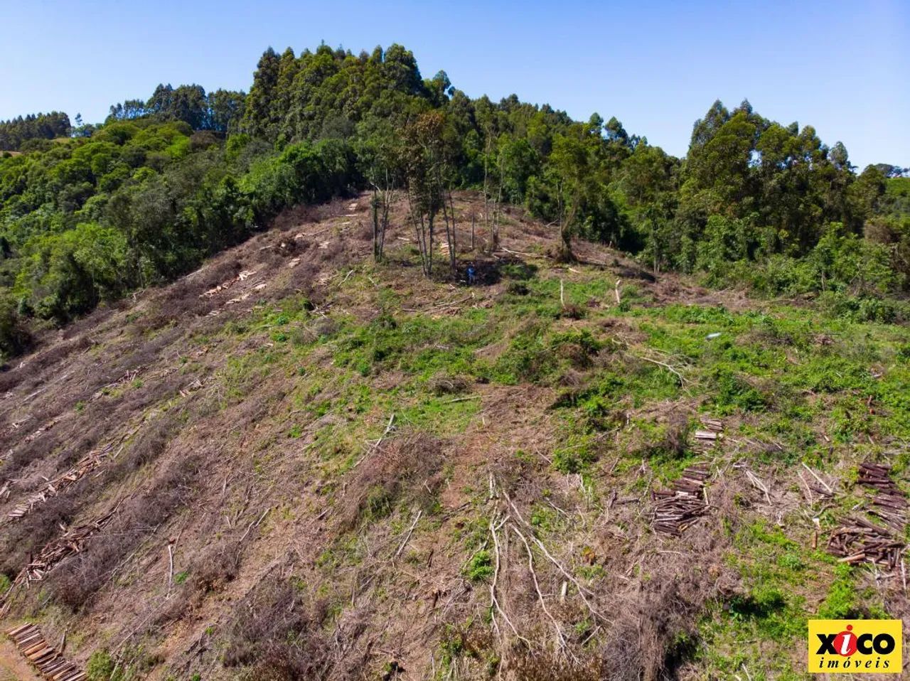Sítio / Chácara para Venda em Nova Petrópolis, São Jacó - Foto 6