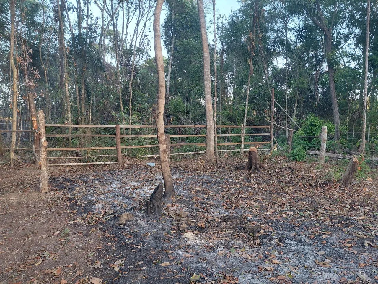 Terreno goiabal  - Foto 3