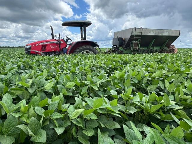 Fazenda à Venda em Santa Rita - Tocantins - Foto 2