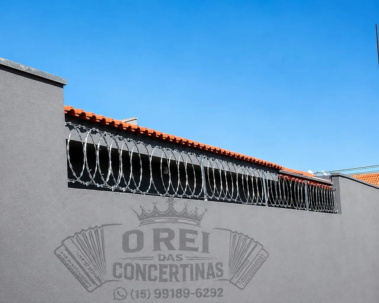 Concertina galvanizada - Foto 2