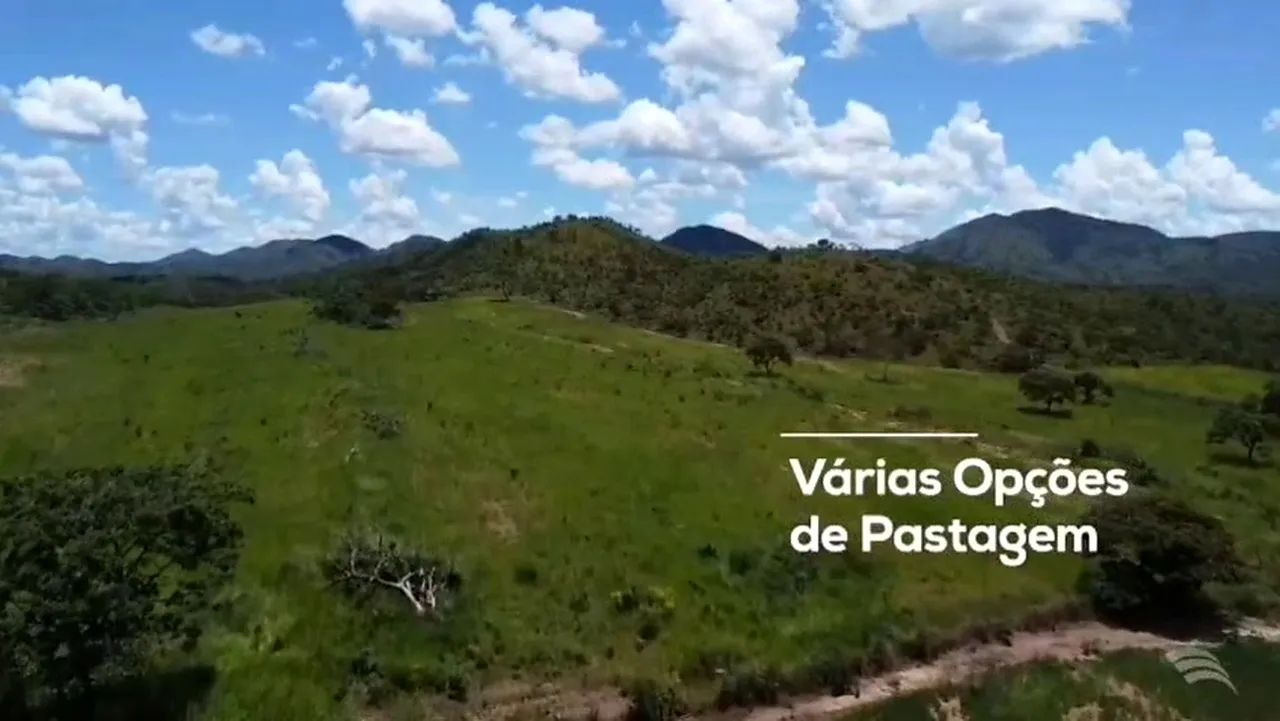 Fazenda Santa Helena/Vila propício GO - Foto 2
