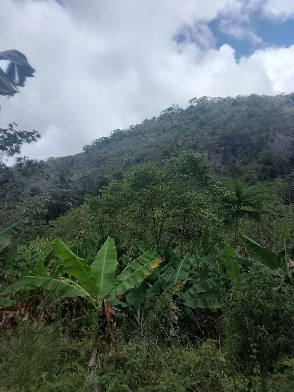 Vende-se  - Foto 3