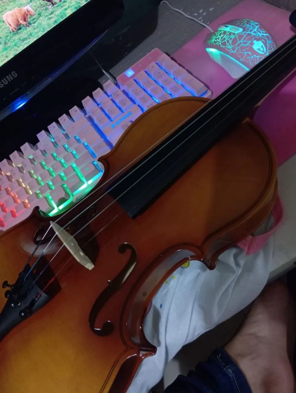 Violino 4/4 - Foto 2