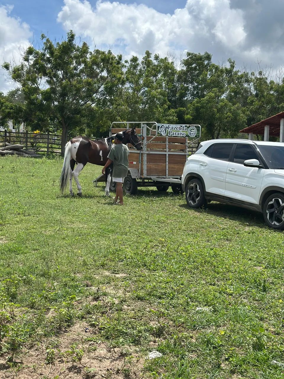 Cavalo Mangalarga Marchador! - Foto 6