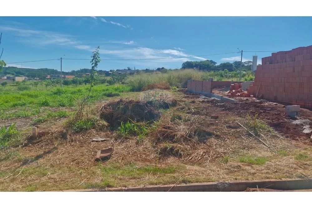 Terreno para Venda em Dumont-SP. - Foto 4