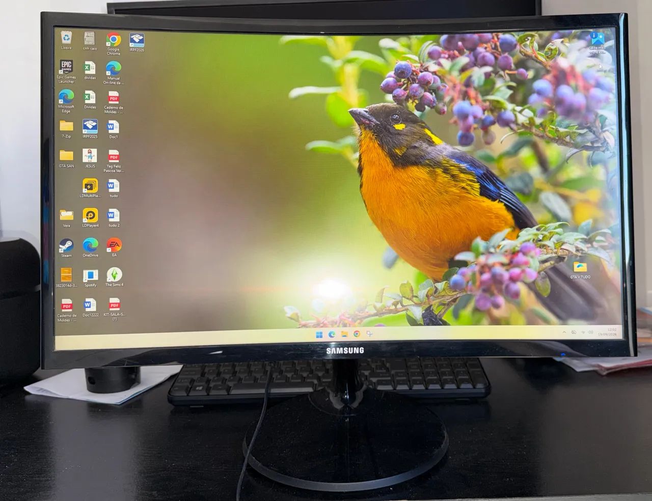Monitor curvo Samsung 24 polegadas