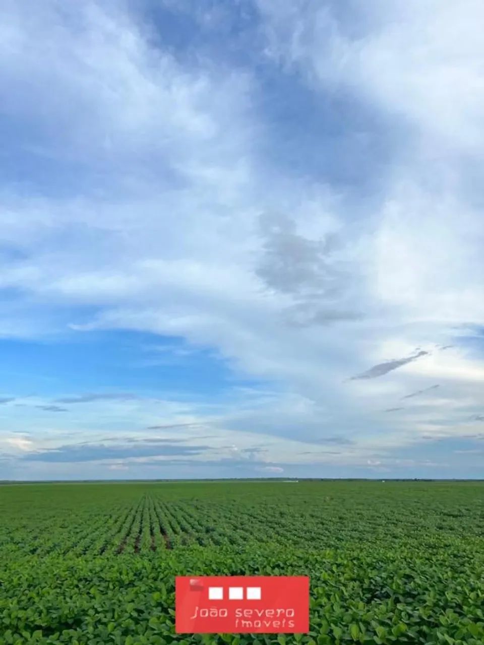 Fazenda para Venda em Palmeirante - Foto 4