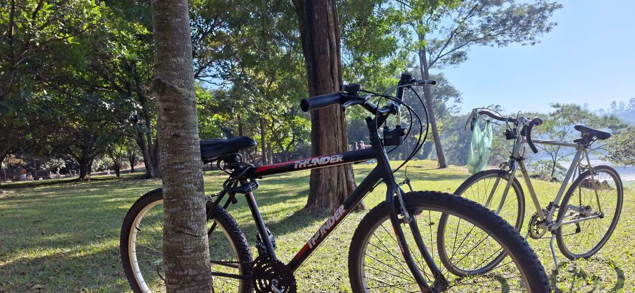 BIKE THUNDER - ARO 26