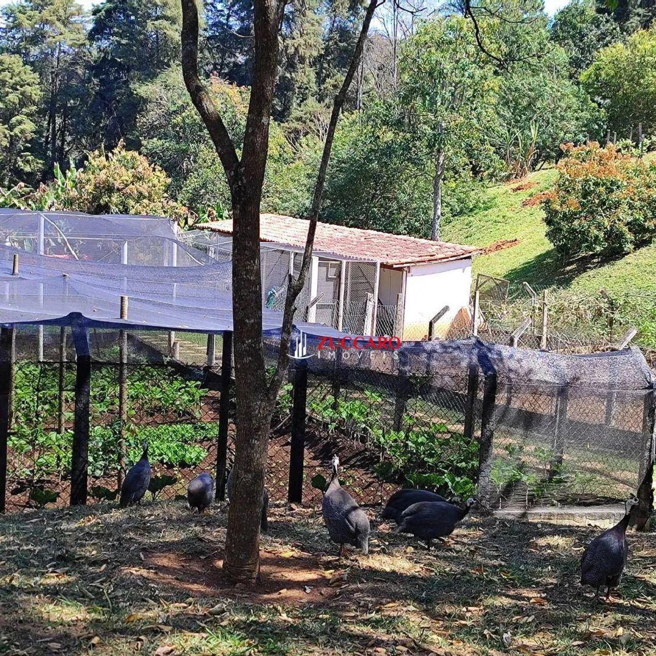 Sobrado à venda, 250 m² por R$ 650.000,00 - Mato Dentro - Mairiporã/SP - Foto 6