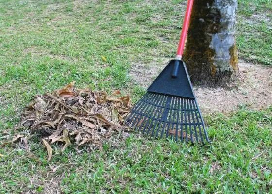 Ajudante serviço de jardinagem 