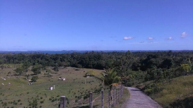 Espetacular fazenda, Salinas das Margaridas Bahia - Foto 14