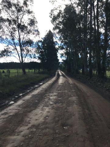 Área com 20mil m2 na cidade mais fria do Brasil - Urupema - sc - Foto 18