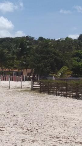 Vende-se excelente terreno em Barra de Catuama , a 200m da praia - Foto 14