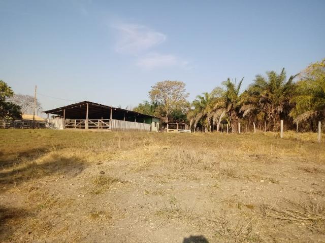 Fazenda há 10 km na MT 010 Estrada da Guia - Foto 8