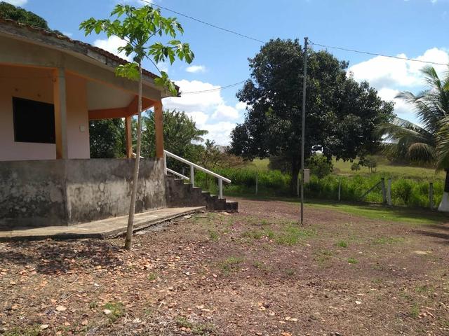 Sítio em apeú - Foto 9