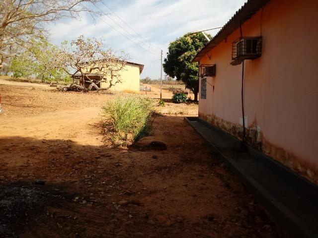Vendo uma Fazenda para Pecuaria de 1.100 hectares no Lago do Manso - Foto 5