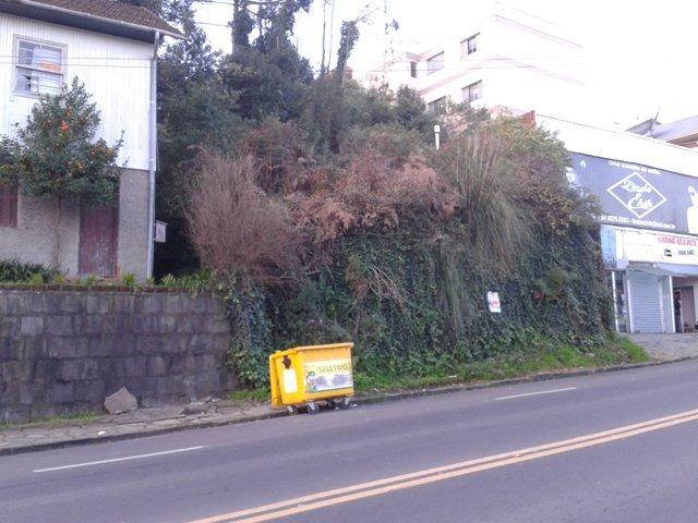 Terreno Bela Vista - Foto 5