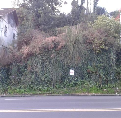 Terreno Bela Vista - Foto 6