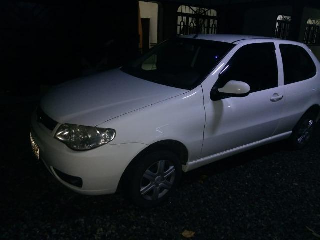 Palio Lindo