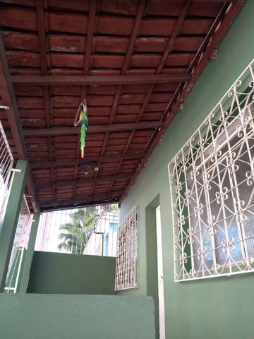 Casa no centro - Foto 3